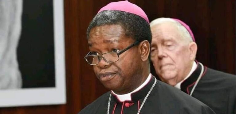 Church of the Sheaves: Archbishop Nwachukwu’s Vision for Missionary Renewal and Cooperation